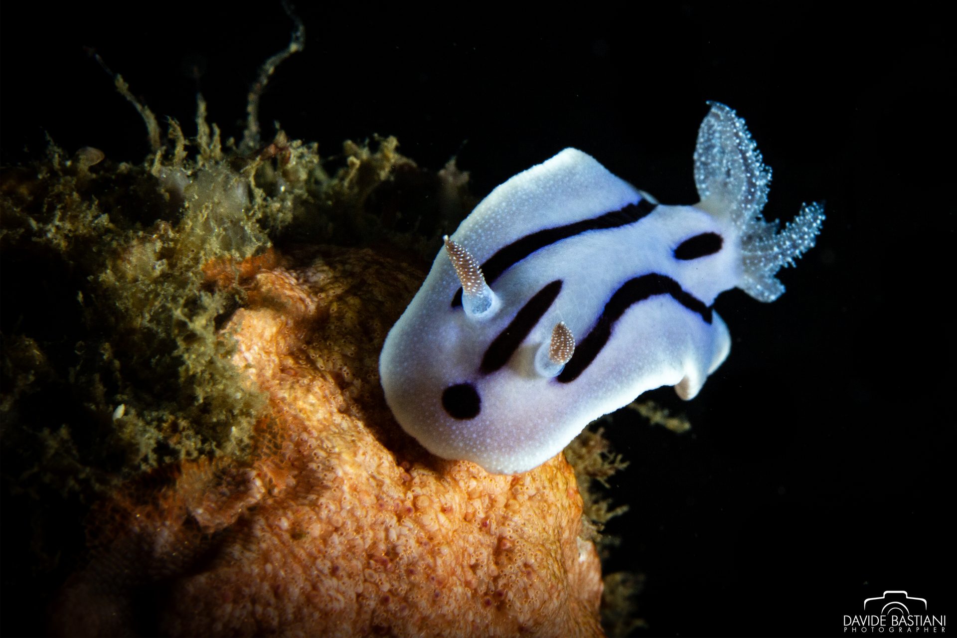 Filipinas: biodiversidad de récord