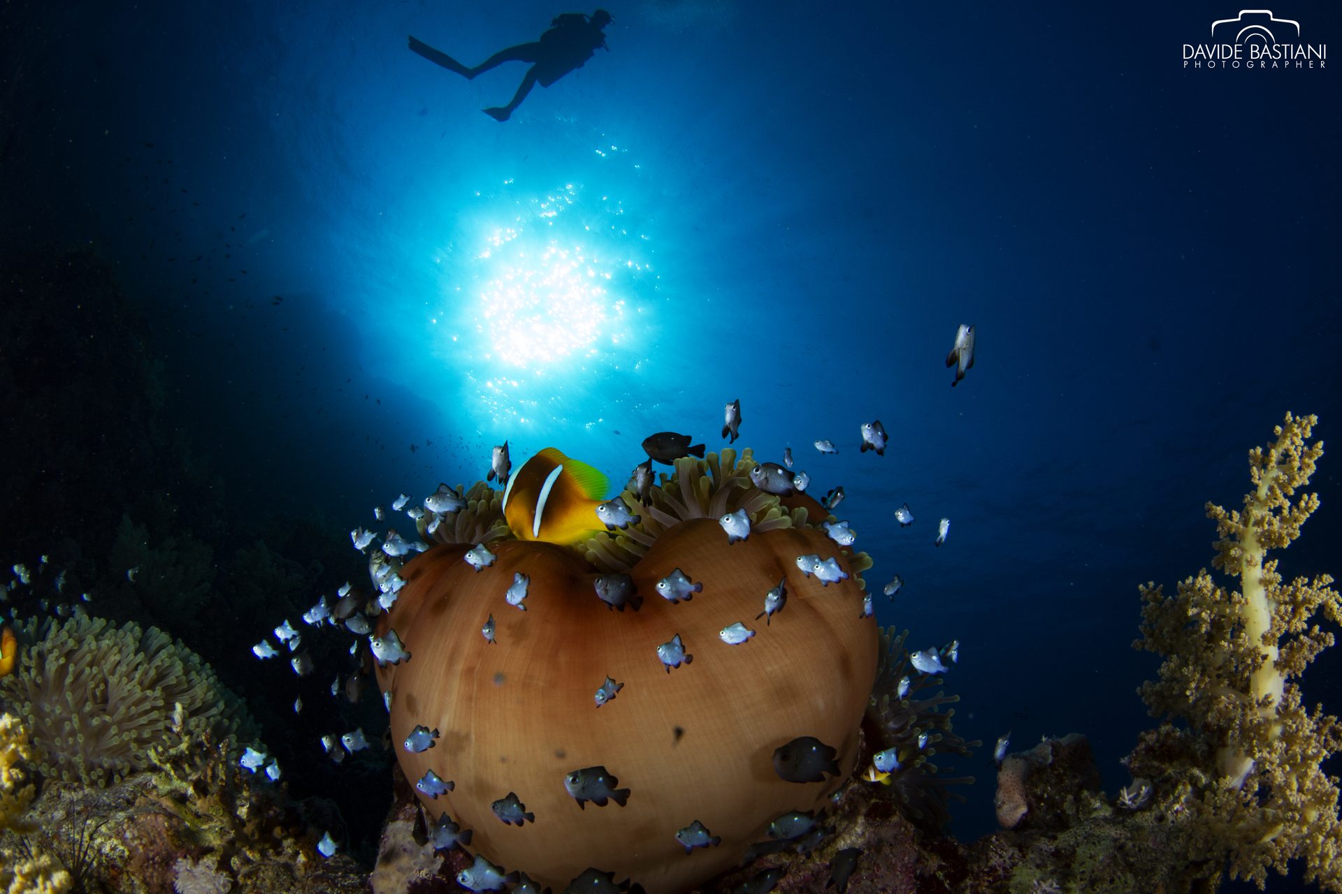 Sharm El Sheikh — Agosto 2021
