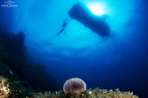 Isola del Giglio — 17 Agosto 2019