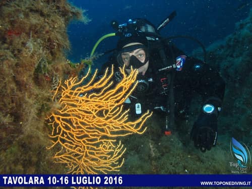 Tavolara, Sardegna — Luglio 2016