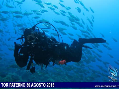 Secche di Tor Paterno — 30 Agosto 2015